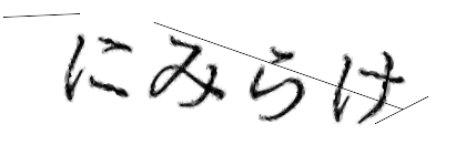 CAPTCHA画像