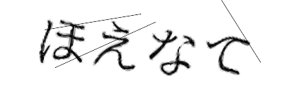 CAPTCHA画像