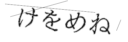 CAPTCHA画像