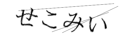 CAPTCHA画像