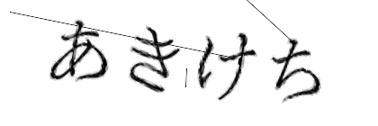 CAPTCHA画像