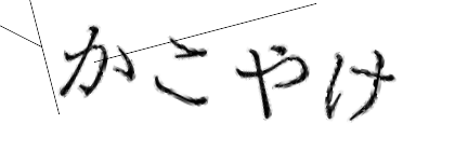 CAPTCHA画像