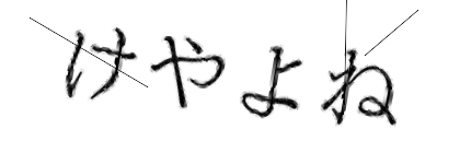 CAPTCHA画像