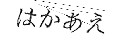 CAPTCHA画像