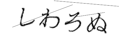 CAPTCHA画像