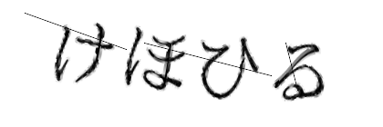 CAPTCHA画像