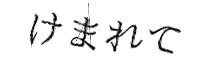 CAPTCHA画像