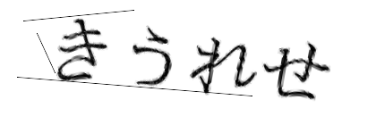 CAPTCHA画像
