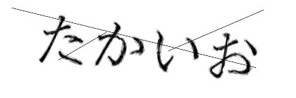 CAPTCHA画像