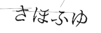 CAPTCHA画像