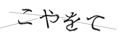 CAPTCHA画像