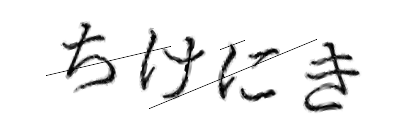 CAPTCHA画像