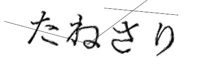 CAPTCHA画像
