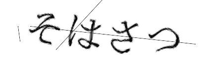 CAPTCHA画像