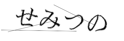 CAPTCHA画像