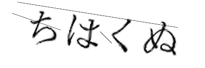 CAPTCHA画像