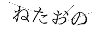 CAPTCHA画像