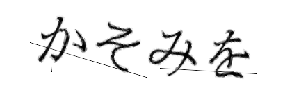 CAPTCHA画像