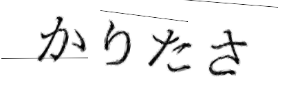 CAPTCHA画像