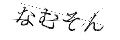 CAPTCHA画像