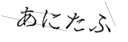 CAPTCHA画像