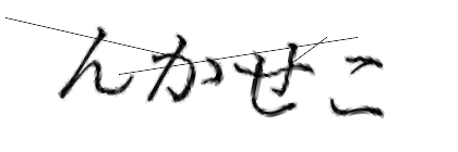 CAPTCHA画像