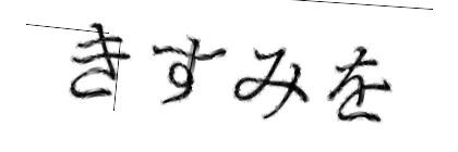 CAPTCHA画像