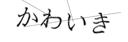 CAPTCHA画像