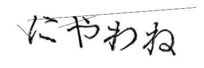 CAPTCHA画像