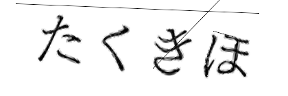 CAPTCHA画像