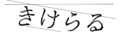CAPTCHA画像