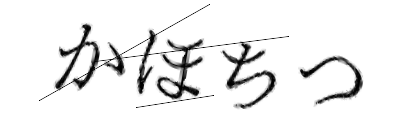 CAPTCHA画像