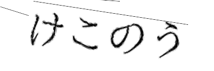 CAPTCHA画像