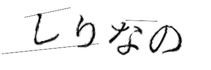 CAPTCHA画像