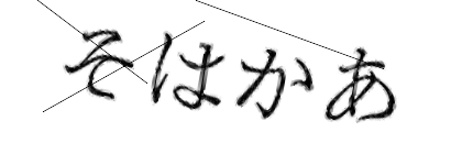CAPTCHA画像