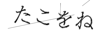 CAPTCHA画像