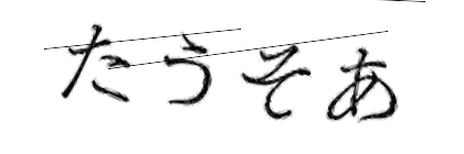 CAPTCHA画像