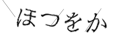 CAPTCHA画像