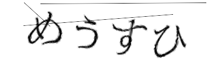 CAPTCHA画像