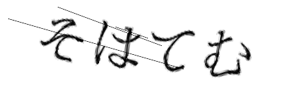 CAPTCHA画像
