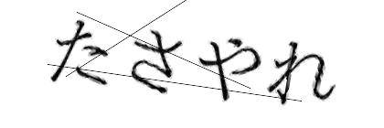 CAPTCHA画像