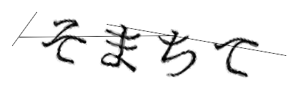 CAPTCHA画像
