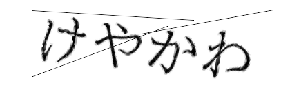 CAPTCHA画像