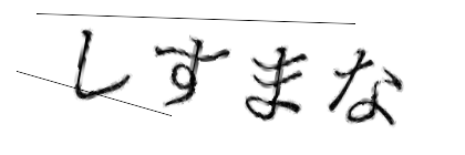CAPTCHA画像