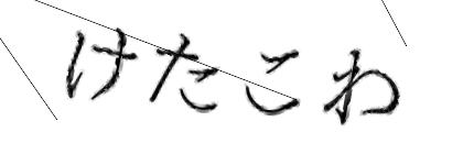 CAPTCHA画像