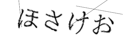 CAPTCHA画像