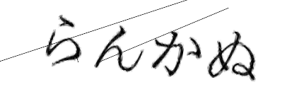 CAPTCHA画像