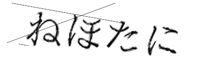 CAPTCHA画像