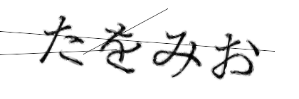 CAPTCHA画像
