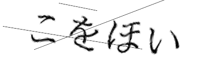 CAPTCHA画像